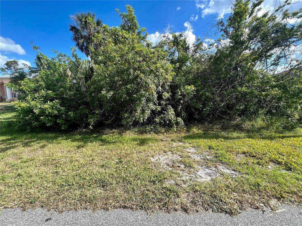 12393 Koenig Lane - Photo 1