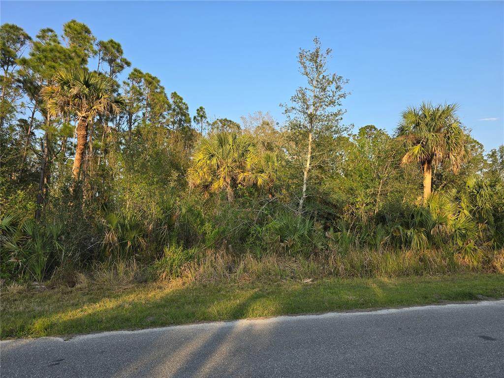 356 Ramblewood Street - Photo 1