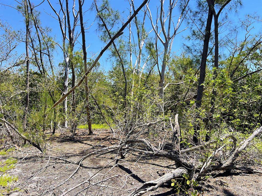 The Island Property Manasota Key - Photo 1