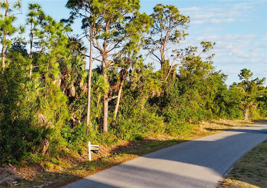 Lot 11 Sadnet Lane - Photo 1