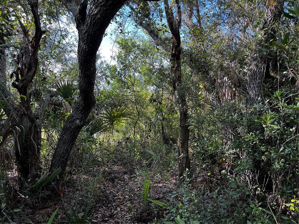 50204 Bermont Road - Photo 1