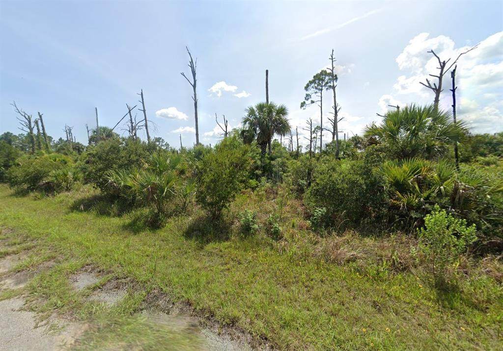 LOT 16 Fireglow Circle - Photo 1