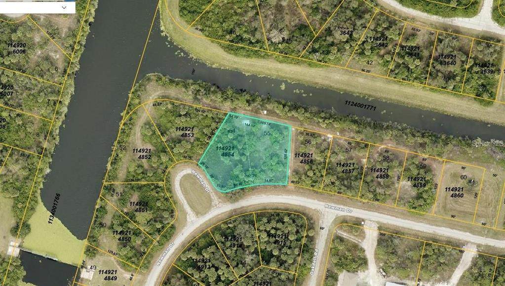 LOT 54 & 55 Newman Drive - Photo 1