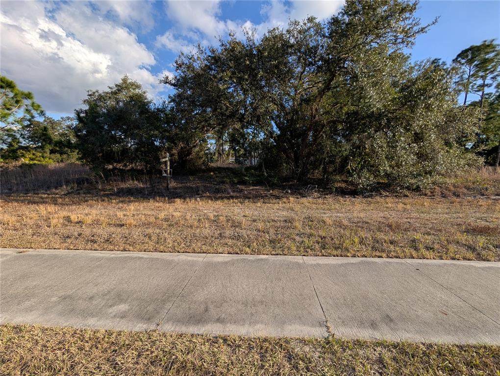 Lots 33 & 34 San Mateo Drive - Photo 1