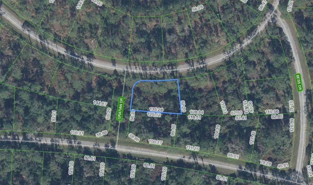 8823 Oviedo Street - Photo 1