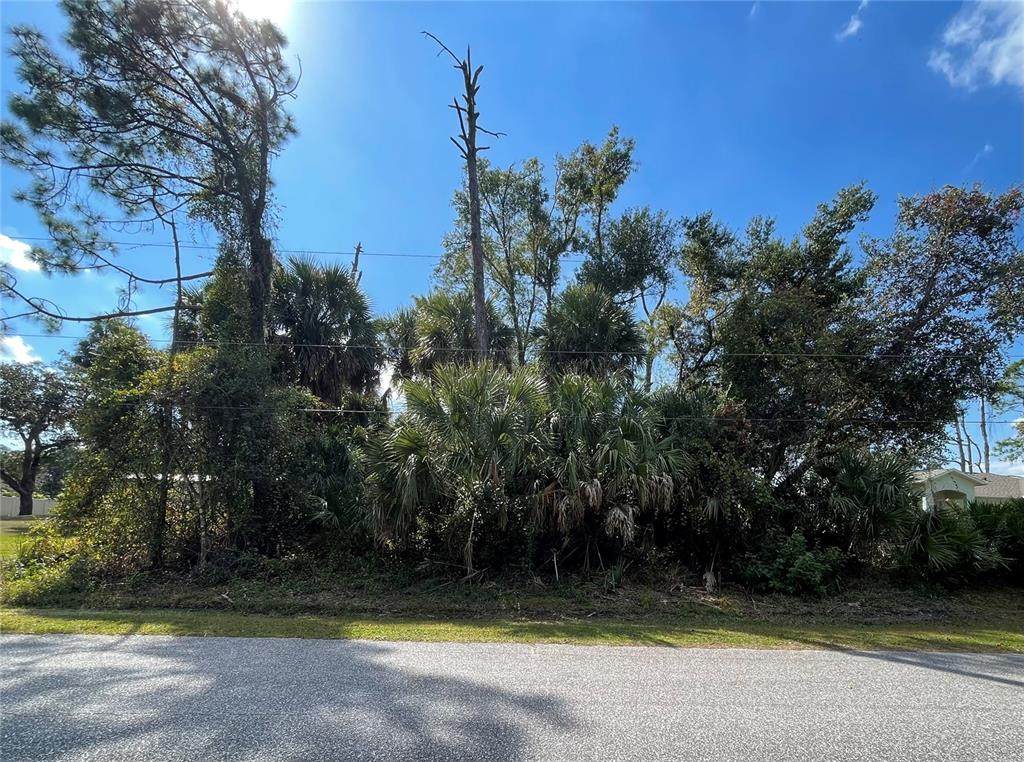 Lot 18 Longwell Lane - Photo 1