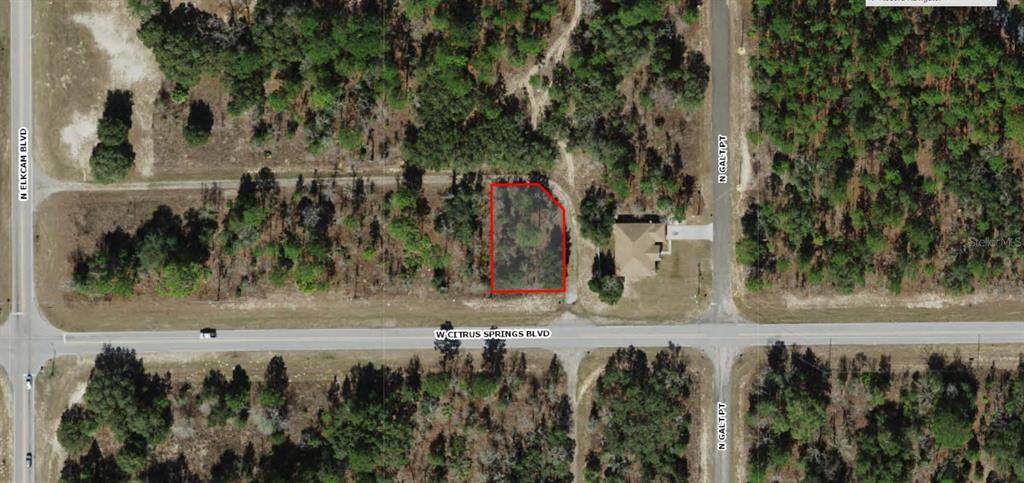 2565 Citrus Springs Boulevard - Photo 1