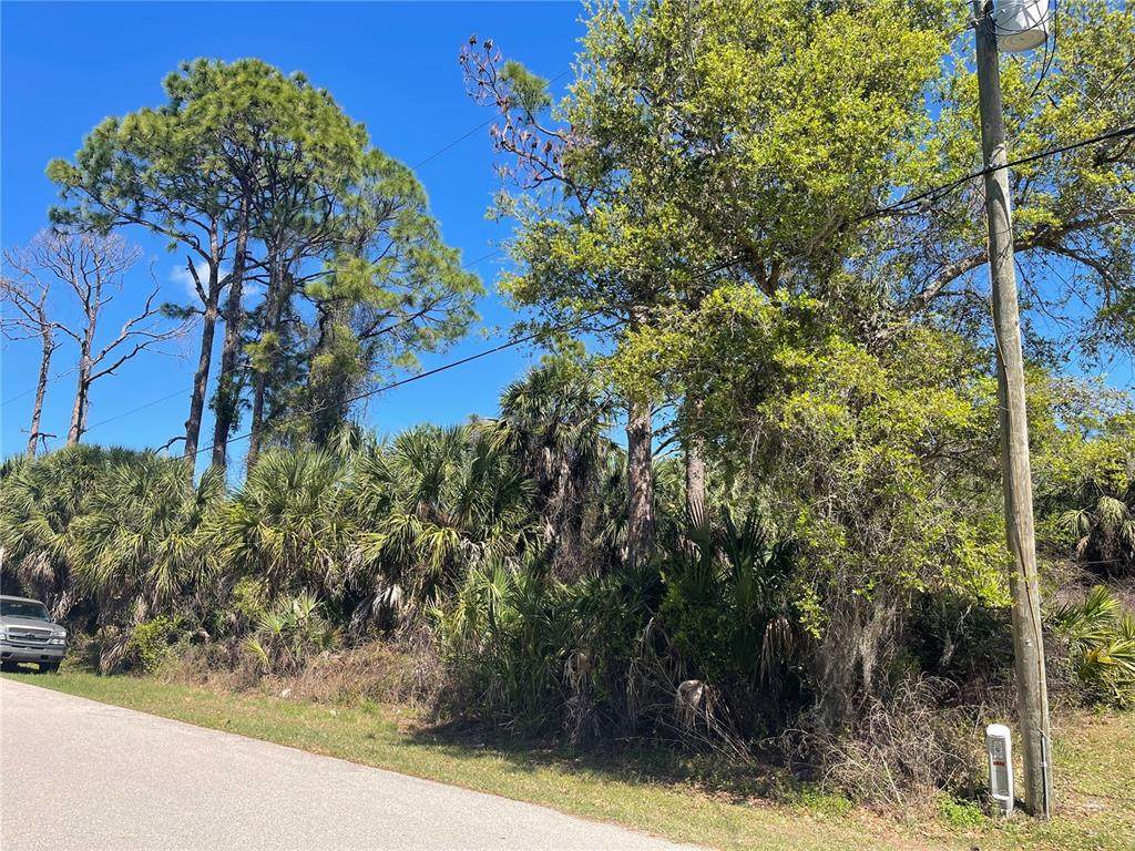 Lot 17 Allegheny Lane - Photo 1