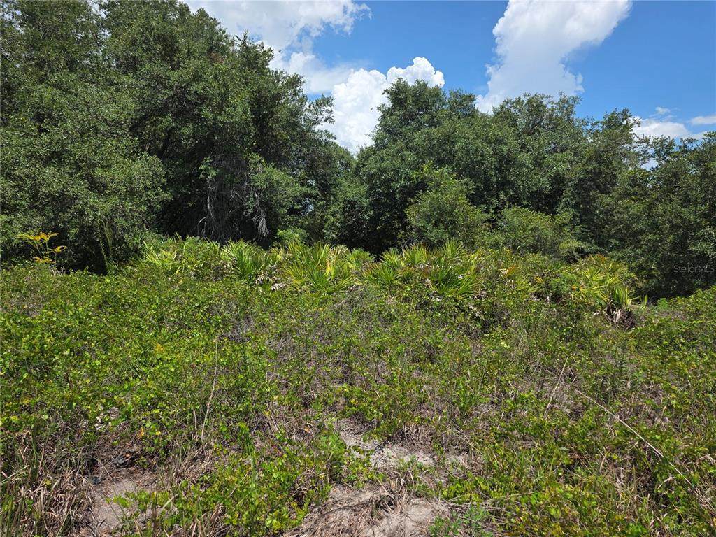 1297 Sulstone Drive - Photo 1