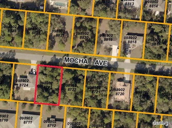 Mocha Avenue - Photo 1