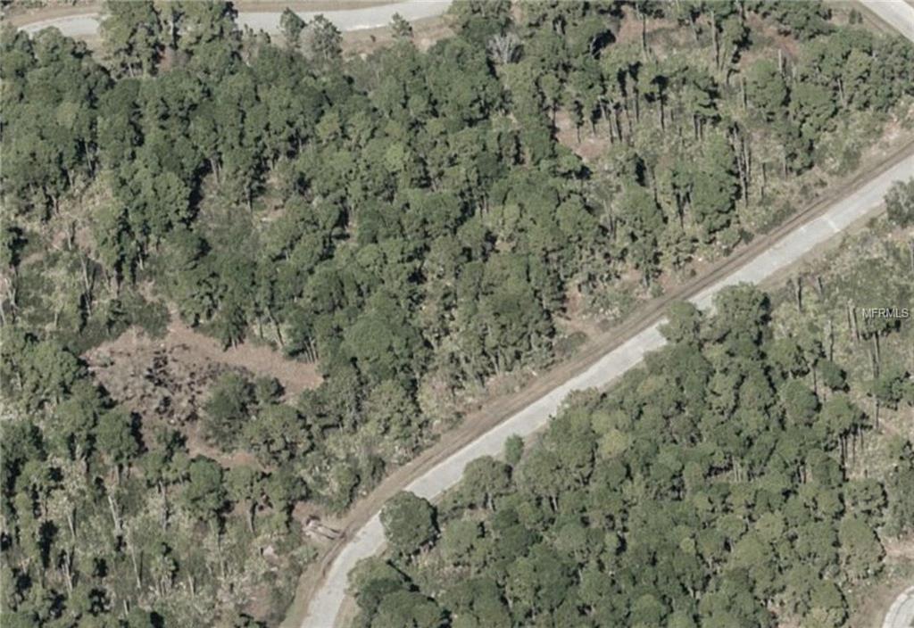 453 Burma Court - Photo 1