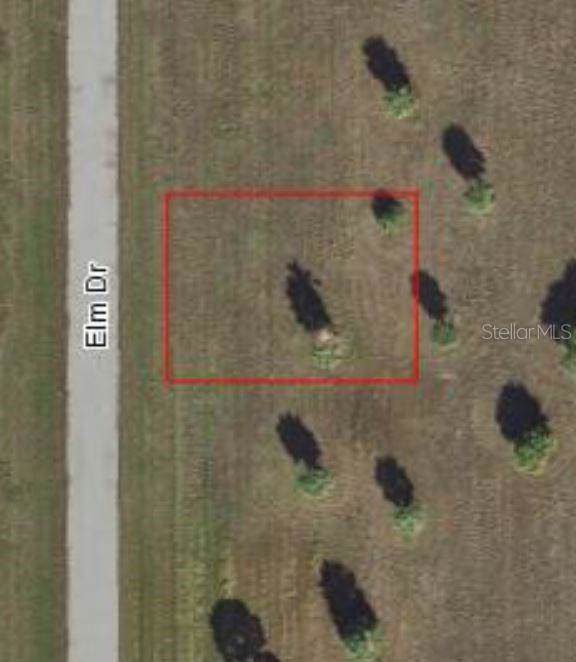 10 Elm Drive - Photo 1