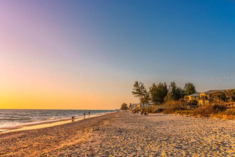 2450 Beach Road - Photo 1
