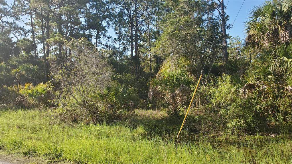 1133 Campagna Lane - Photo 1