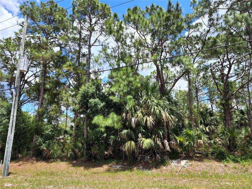 Lot 14 Atwater Drive - Photo 1