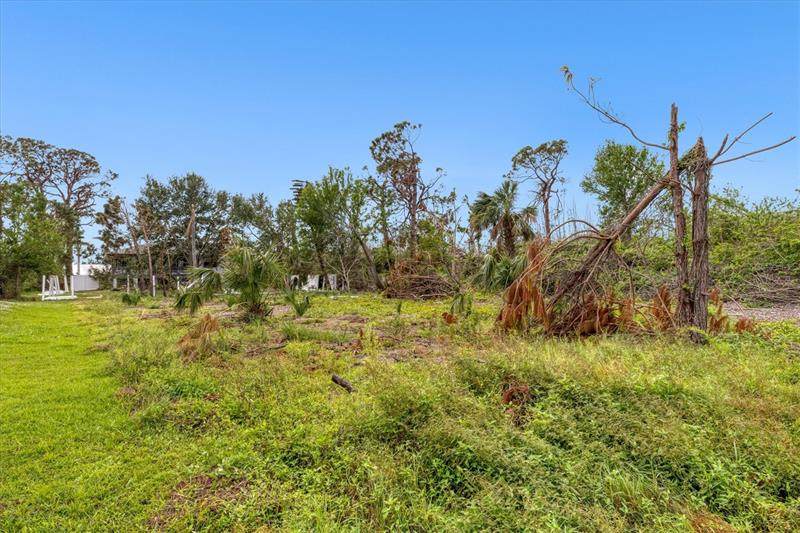 8153 Archie Street - Photo 1