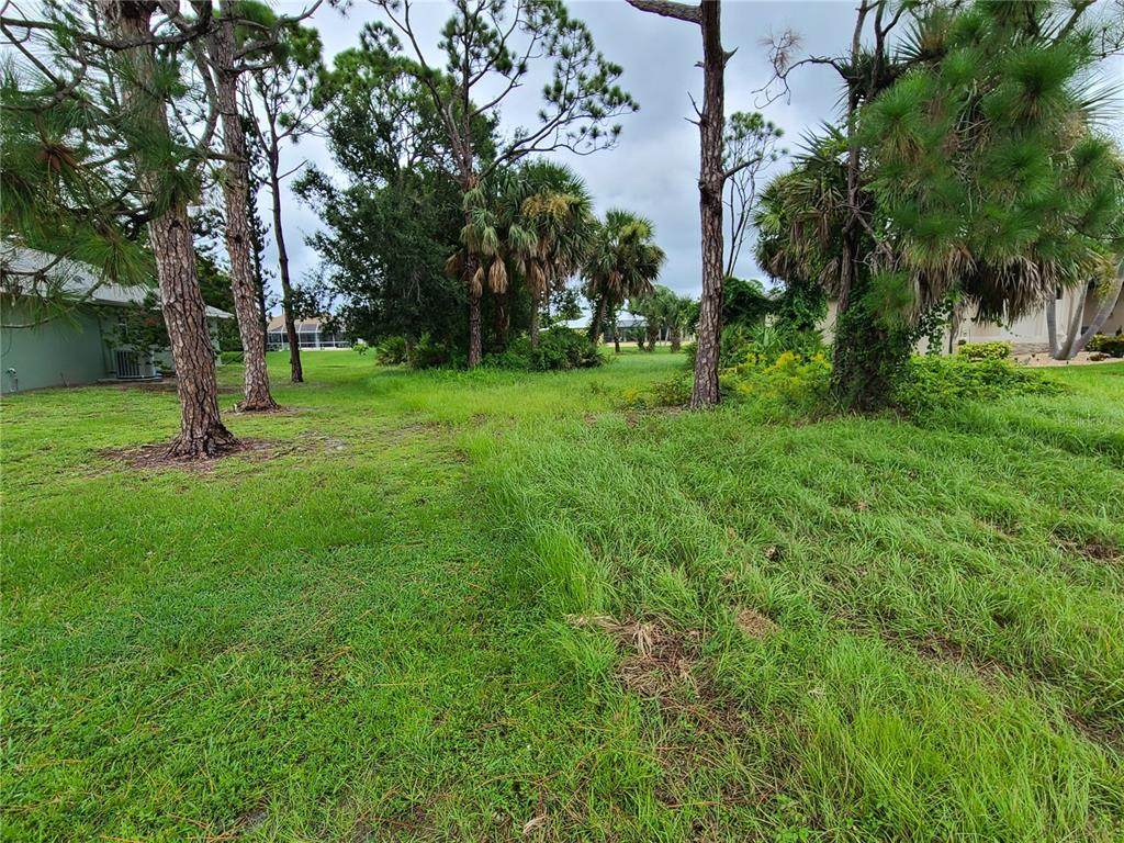 254 Long Meadow Lane - Photo 1