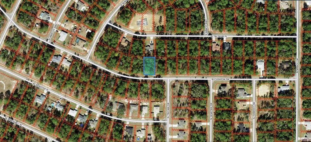 3369 Cushion Drive - Photo 1