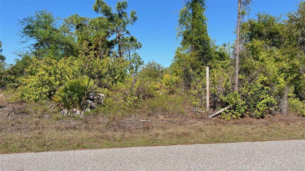 4397 Kennel Street - Photo 1