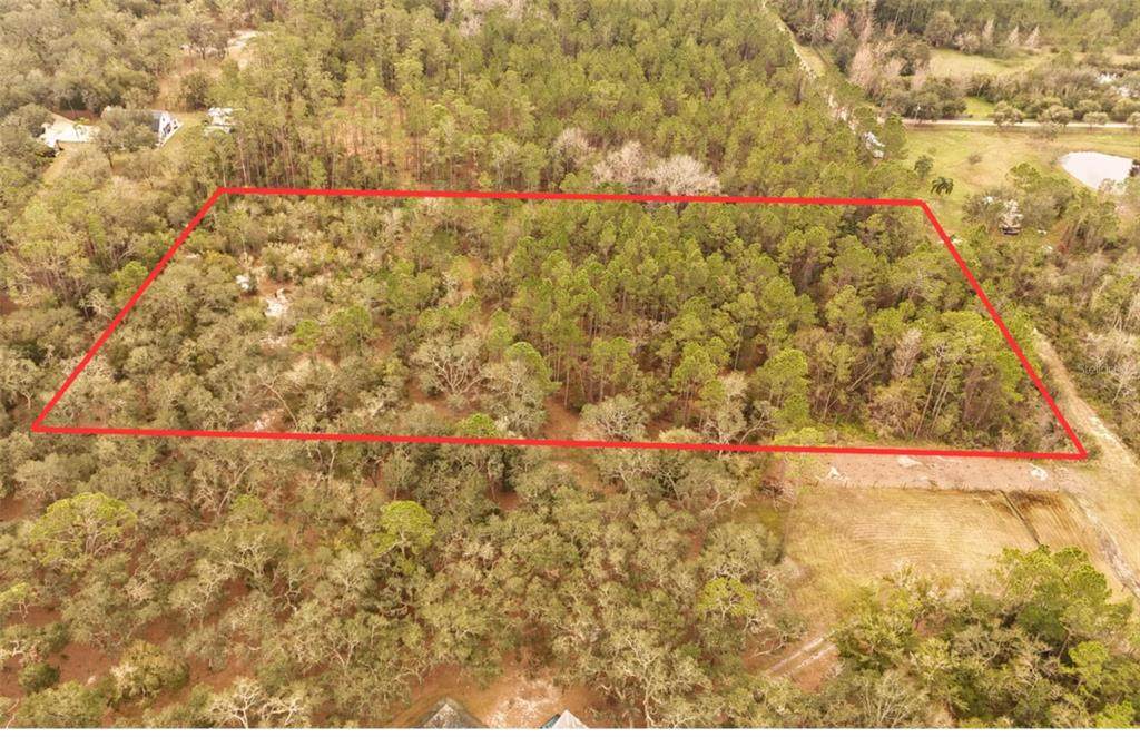 95 Pinto Lane - Photo 1
