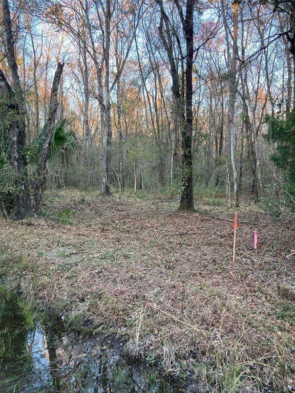 10450 Weatherby Avenue - Photo 1