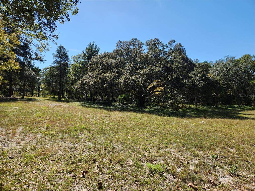 0000 Roos Lane - Photo 1