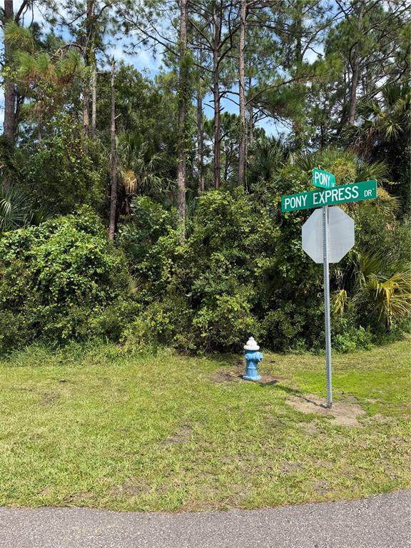 30 Pony Express Drive - Photo 1
