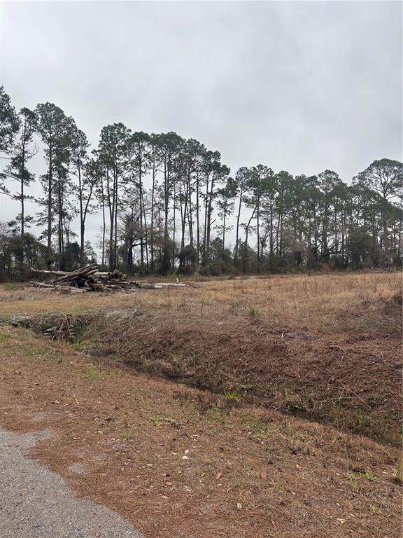 9600 Light Avenue - Photo 1