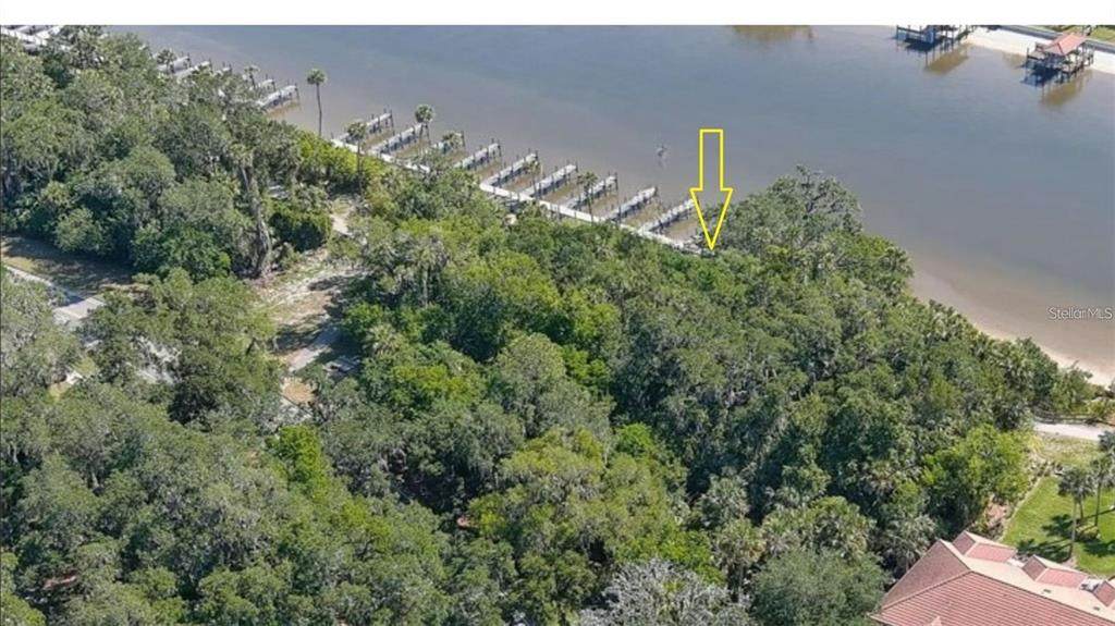 60 Palm Harbor Parkway - Photo 1