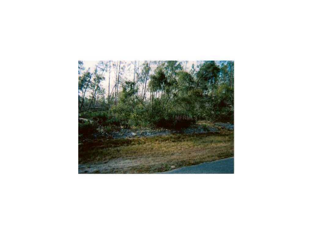 Chippewa Avenue - Photo 1