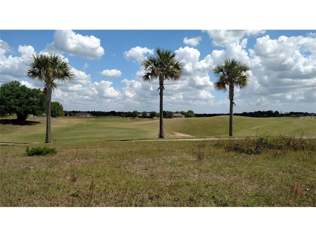 24250 Calusa Boulevard - Photo 1