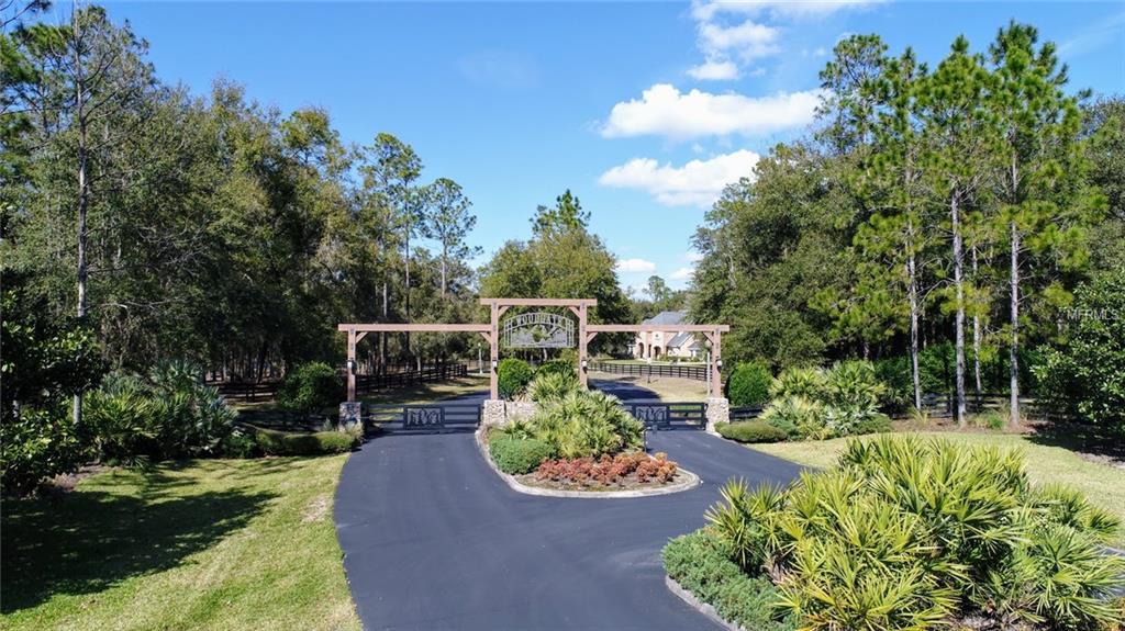 39513 Woodgate Lane - Photo 1
