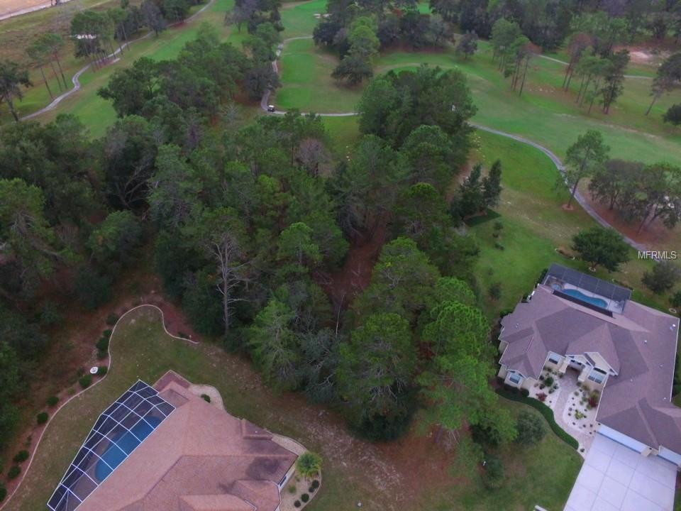 17 Woodlee Court - Photo 1