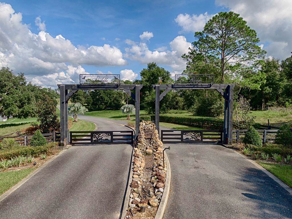 41509 Saddle Ridge Lane - Photo 1