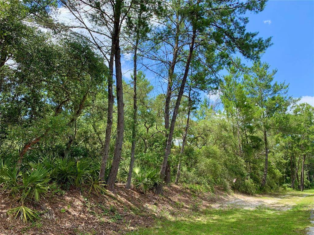 Lot 4 & 5 Cassia Street - Photo 1