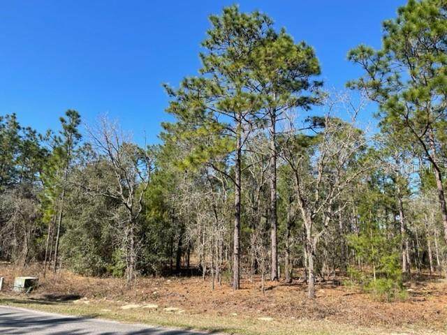 000 Cr 243C Lot 93 - Photo 1