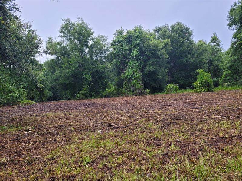 County Road 455 - Photo 1