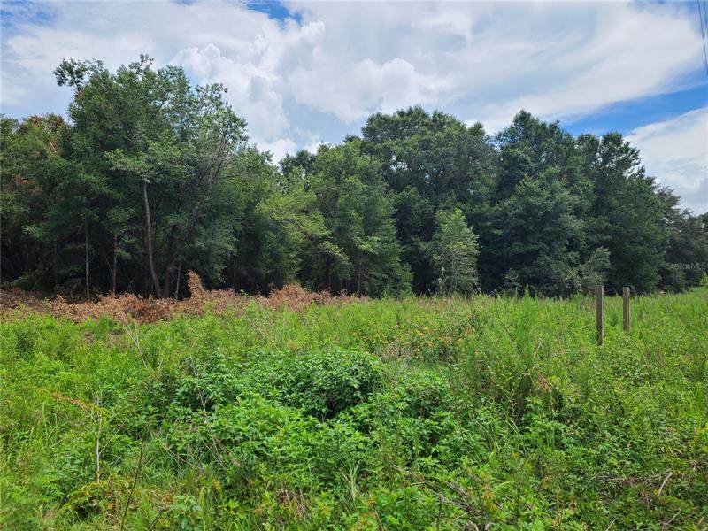 17697 Hwy 25 - Photo 1