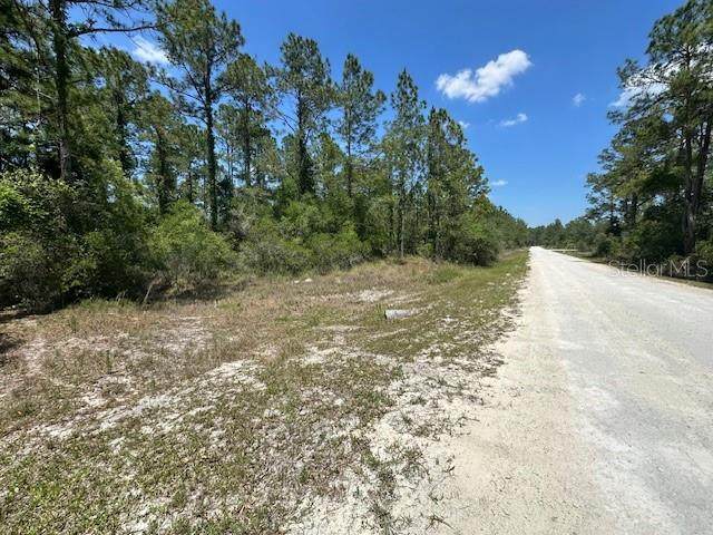 TBD Otter Drive - Photo 1