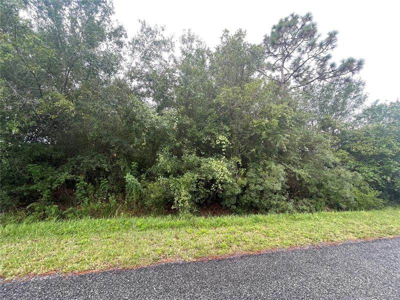 9290 Lincoln Road - Photo 1