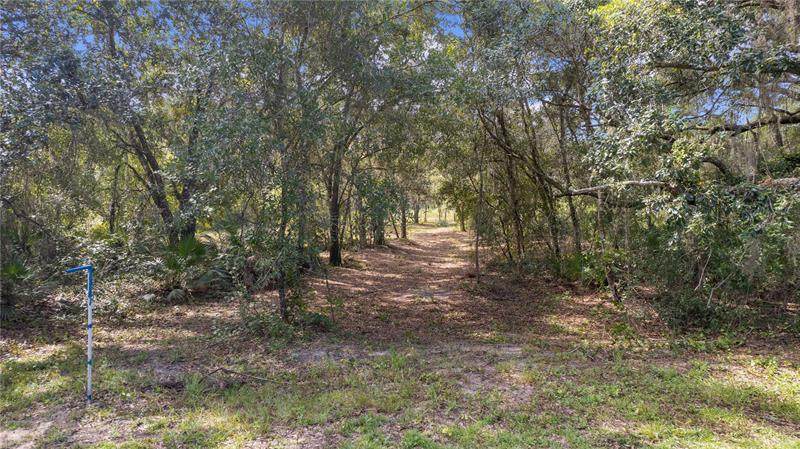 0 Orange Blossom Road - Photo 1
