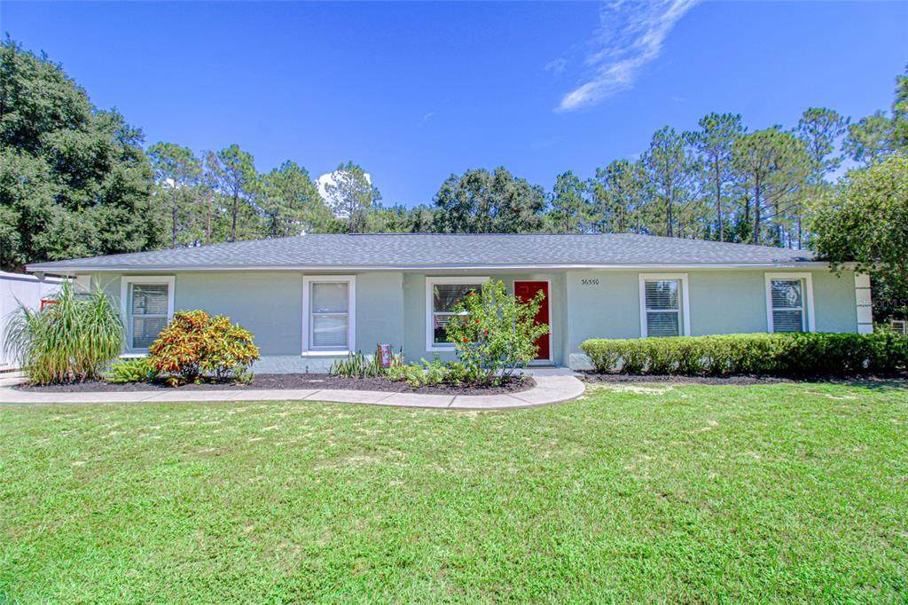 36550 Apiary Road - Photo 1