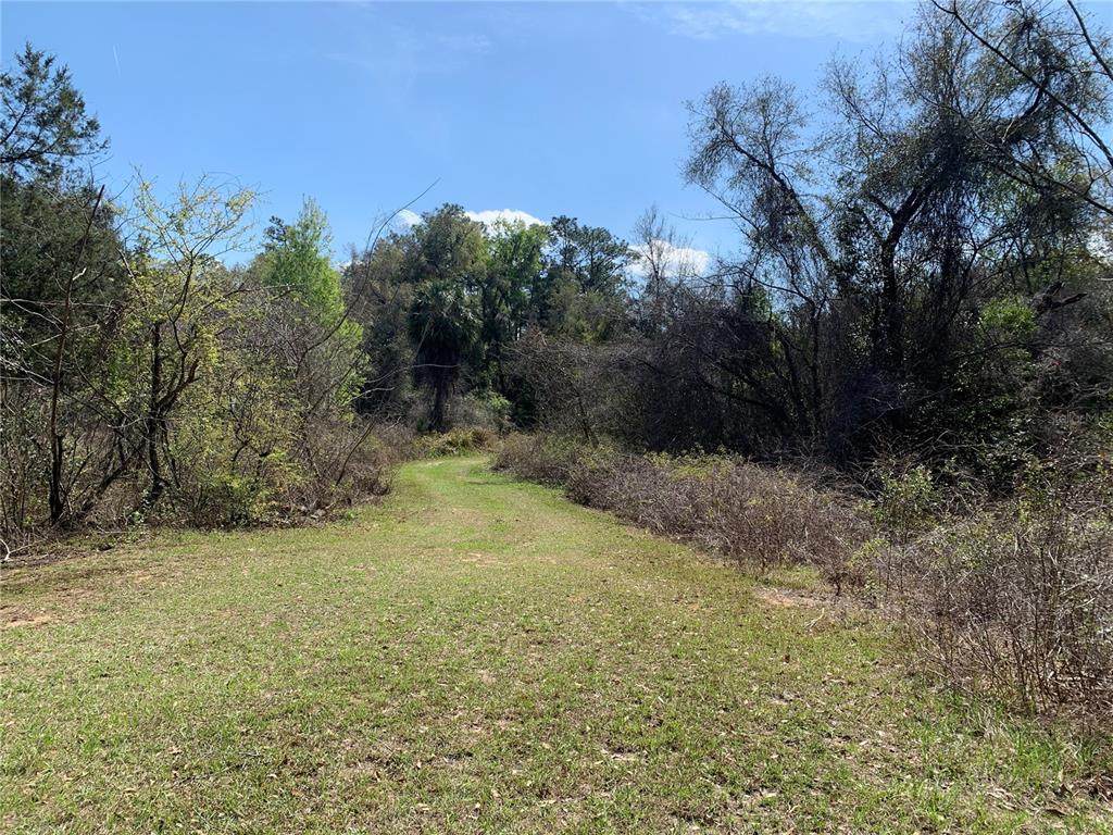 1220 Paul Drive - Photo 1