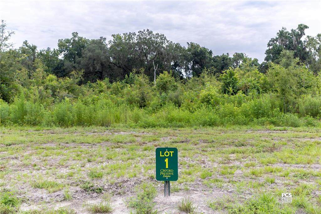 1480 Oxford Preserve Trl - Photo 1