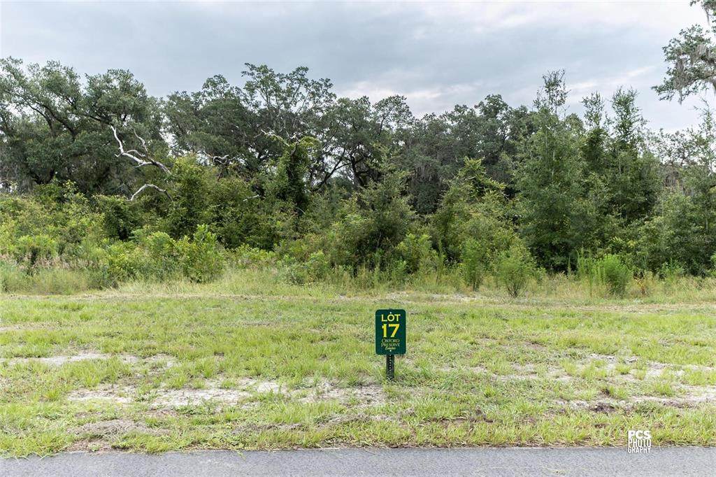 1417 Oxford Preserve Trl - Photo 1