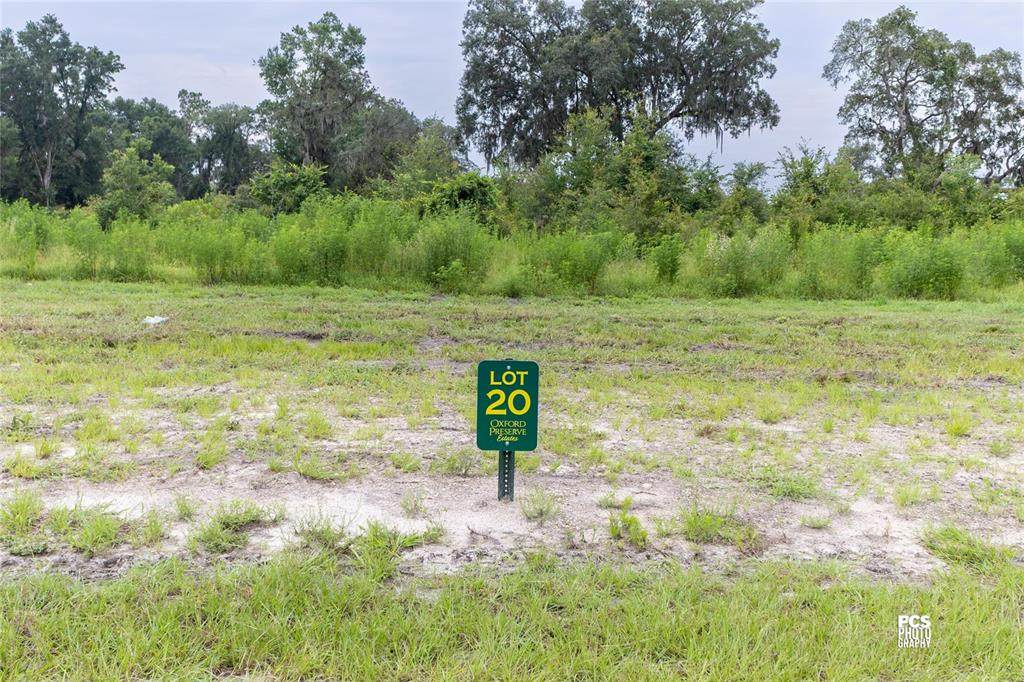 1485 Oxford Preserve Trl - Photo 1