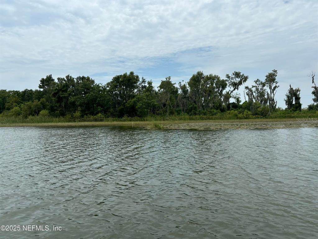 6001 Bird Island Drive - Photo 1