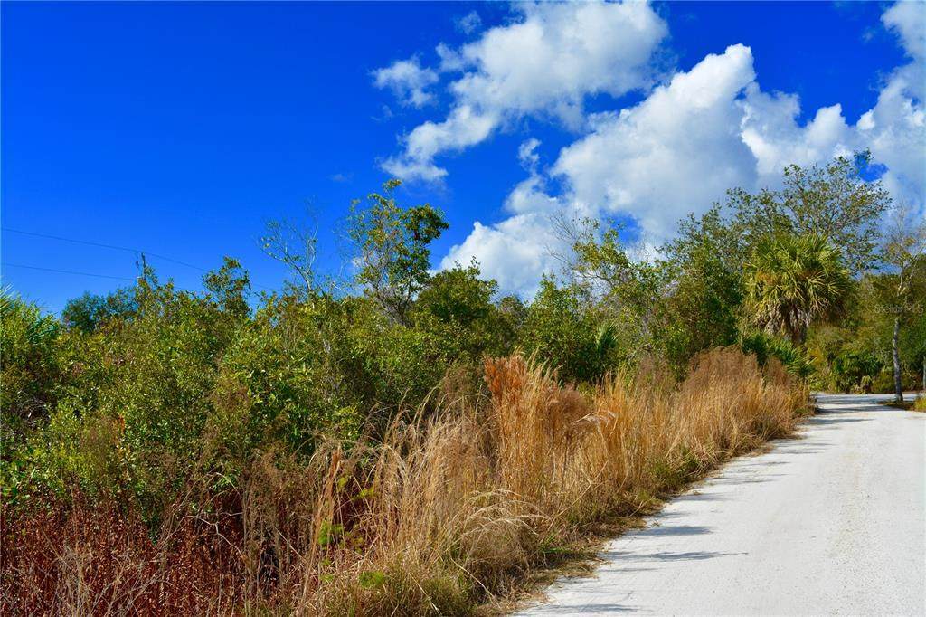 27195 Lowry Avenue - Photo 1