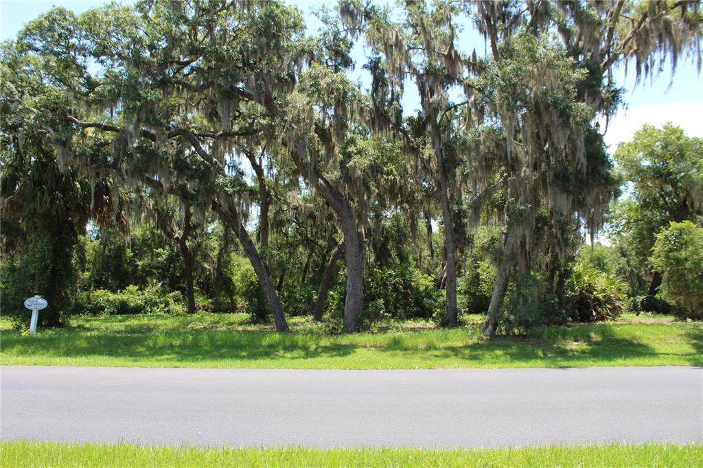 3117 Bright Lake Circle - Photo 1