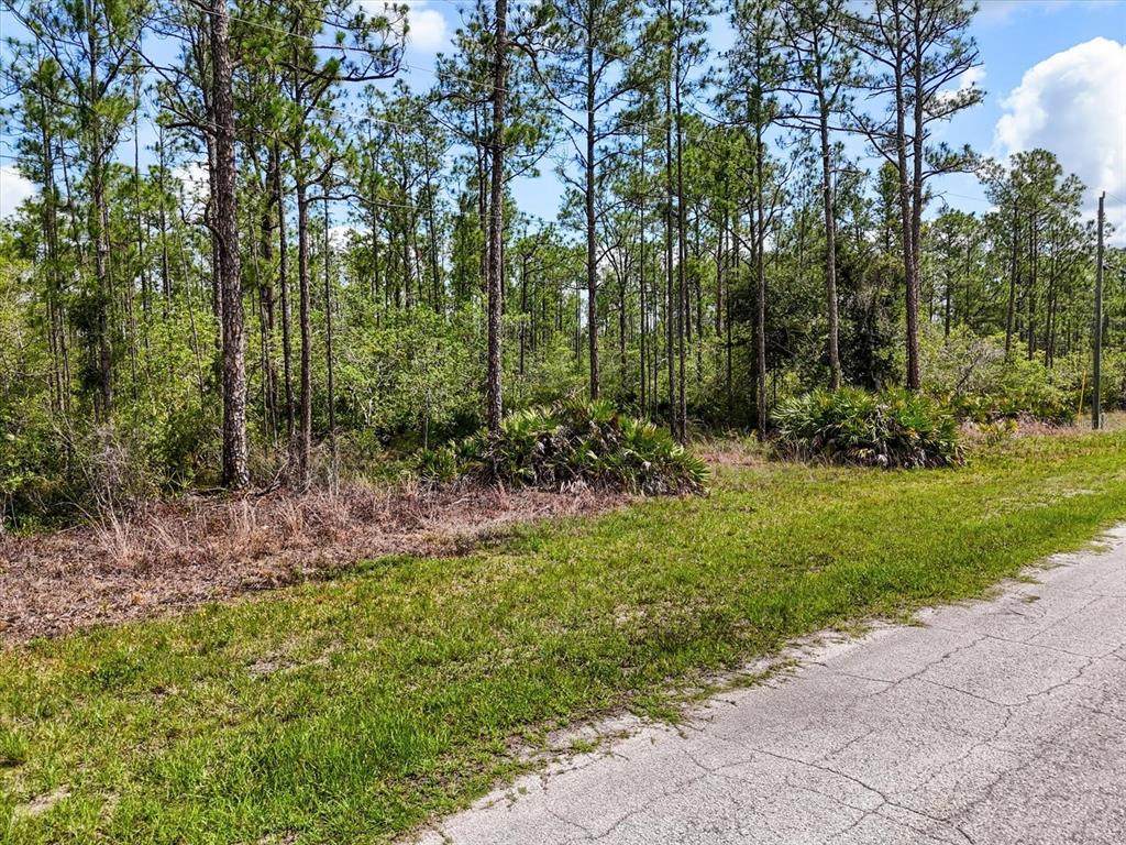 LOT 62 Meadow Lark Boulevard - Photo 1